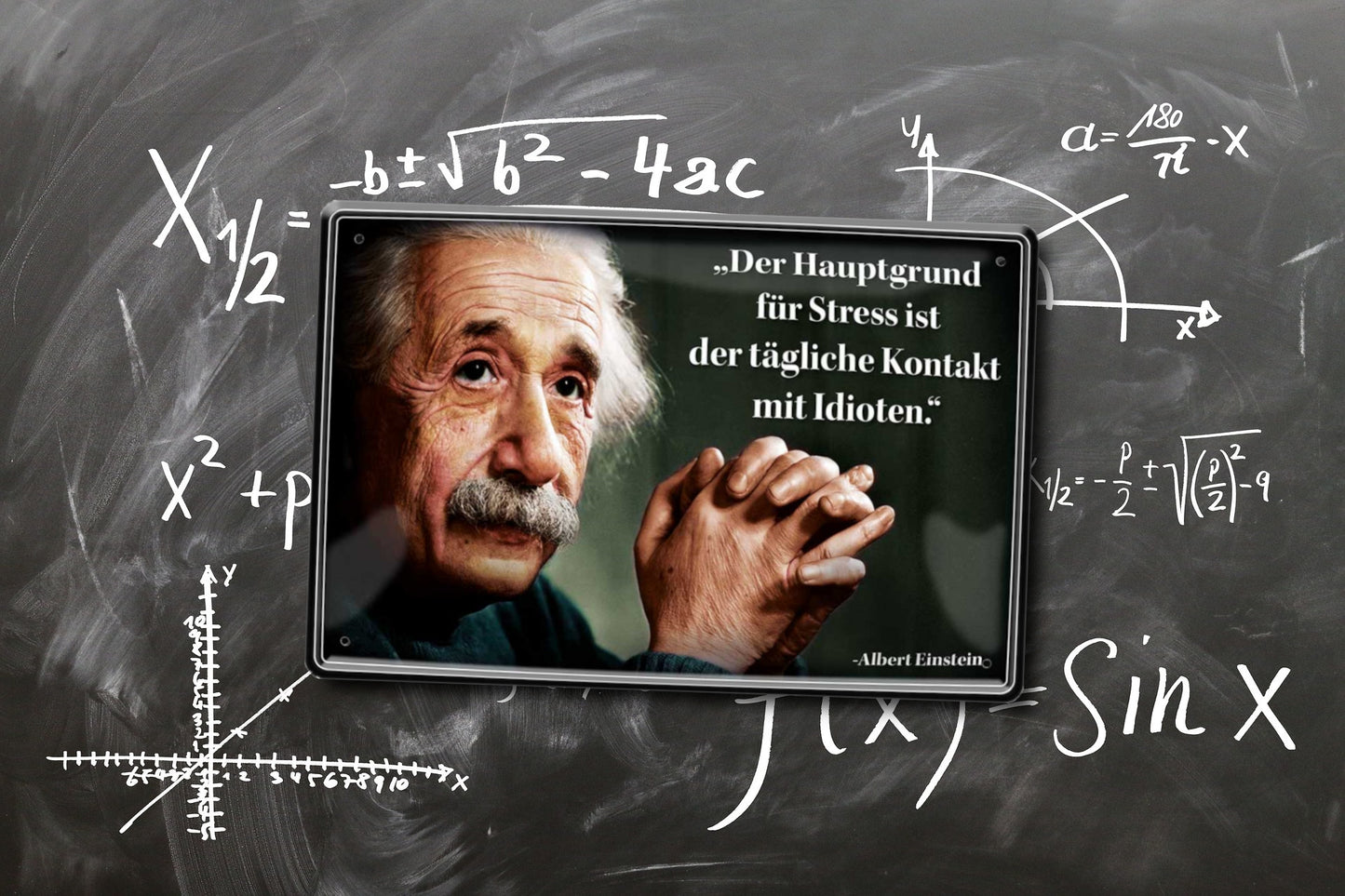 Blechschild ''Der Hauptgrund für Stress (Einstein, zentrierter Text)'' 20x30cm