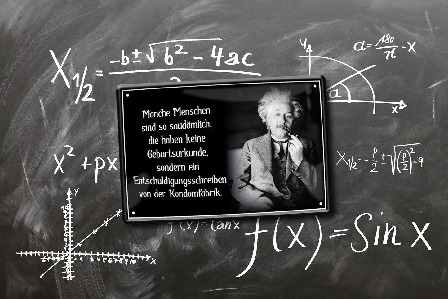 Blechschild ''Manche Menschen sind so saudämlich (Einstein)'' 20x30cm