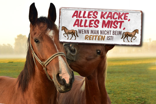 Blechschild ''Alles Kacke alles Mist Pferde'' 28x12cm