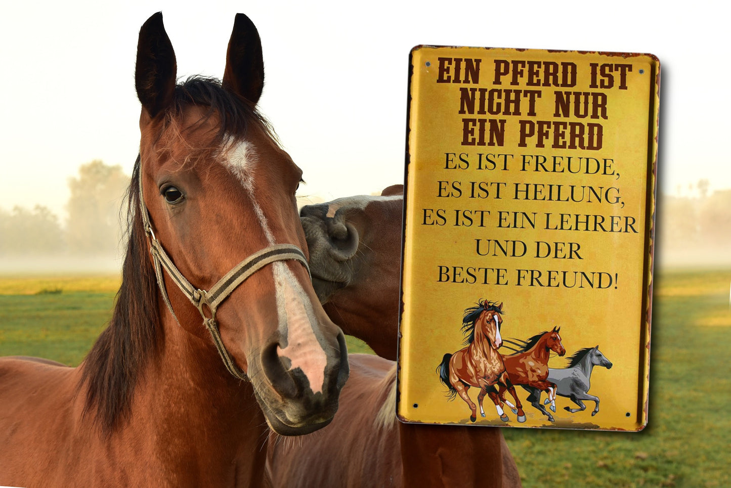 Tin Sign ''A horse is not just a horse. Best Friend'' 20x30cm