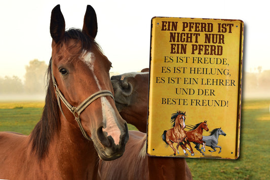 Tin Sign ''A horse is not just a horse. Best Friend'' 20x30cm