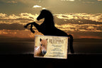 Blechschild ''Reitpony'' 20x30cm