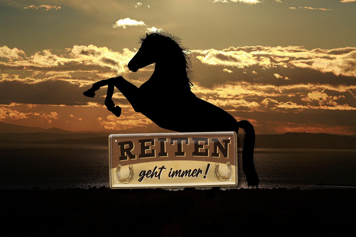 Blechschild ''Reiten geht immer!'' 28x12cm