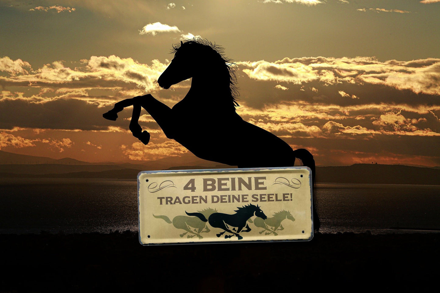 Blechschild ''4 Beine tragen deine Seele (3 pferde)'' 28x12cm