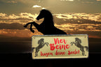 Blechschild ''Vier Beine tragen deine Seele (2 pferde)'' 28x12cm