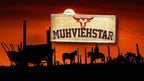 Blechschild ''Muhviehstar'' 28x12cm