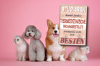 Blechschild ''Studieren kann jeder Tiermedizinische Fachangestellte'' 20x30cm