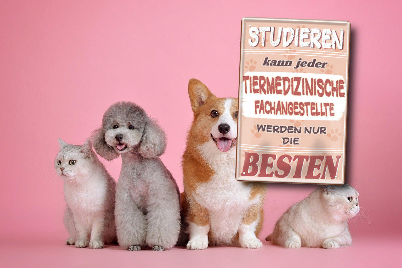 Blechschild ''Studieren kann jeder Tiermedizinische Fachangestellte'' 20x30cm