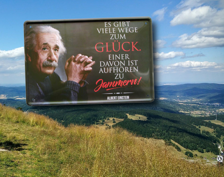 Blechschild ''Es gibt viel Wege zum Glück (Einstein)'' 20x30cm