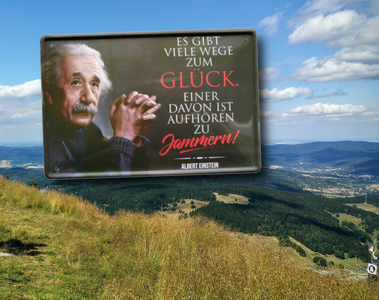 Blechschild ''Es gibt viel Wege zum Glück (Einstein)'' 20x30cm