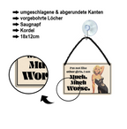 Blechschild ''I'm not like other girls. I'm Much, Much Worse'' 18x12cm