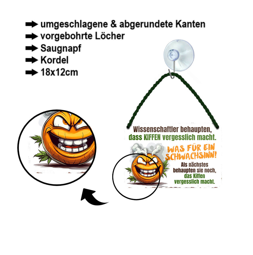 Blechschild ''Wissenschaftler behaupten, dass Kiffen vergesslich macht'' 18x12cm