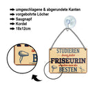 Blechschild ''Studieren kann jeder Friseurin'' 18x12cm