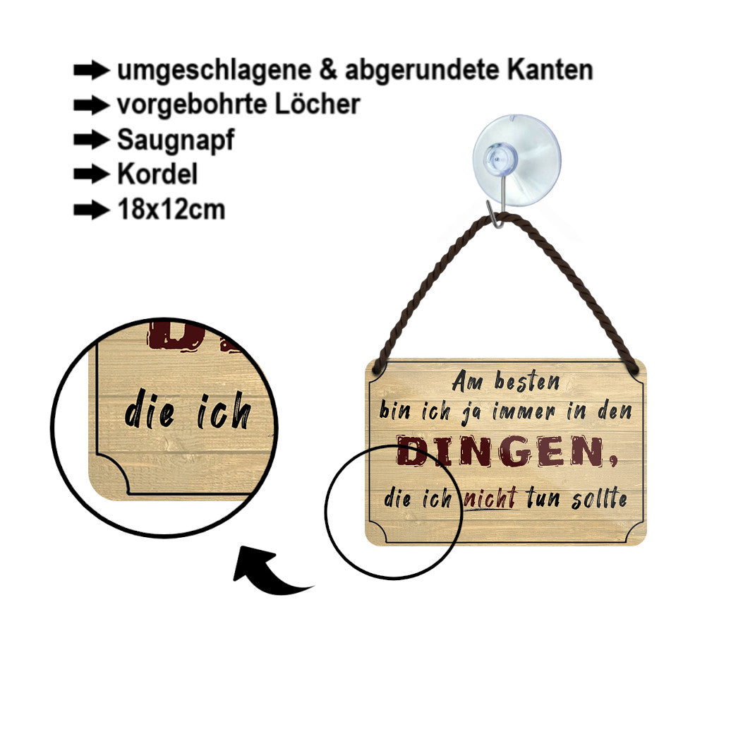 Blechschild ''Am besten bin ich ja in Dingen, die ich nicht tun sollte'' 18x12cm