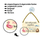 Blechschild ''Will ja nicht angeben, passe in Flip-Flops vom letzten Jahr'' 18x12cm