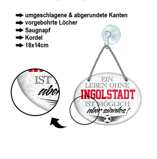 Blechschild ''Ein Leben ohne Ingolstadt ist sinnlos'' 18x14cm