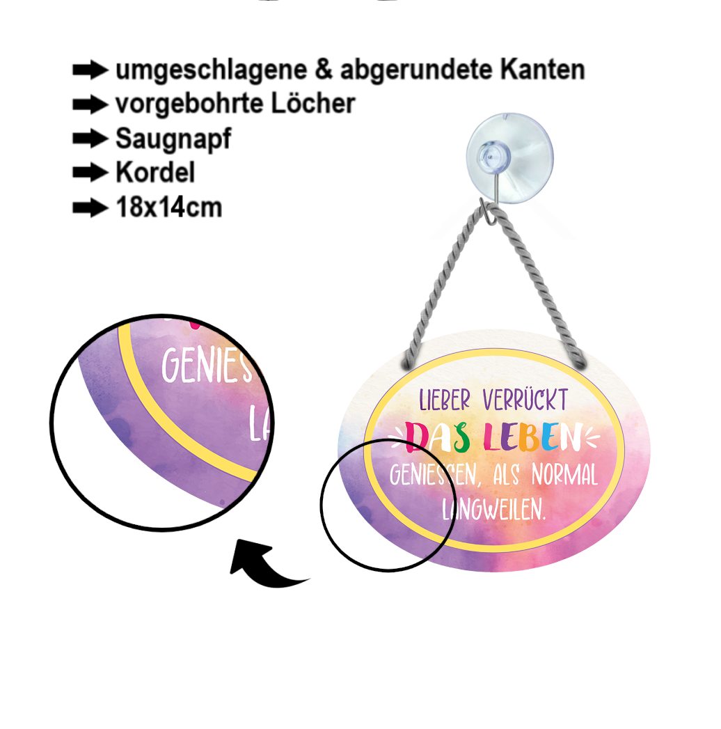 Blechschild ''Lieber verrückt das Leben geniessen als normal'' 18x14cm