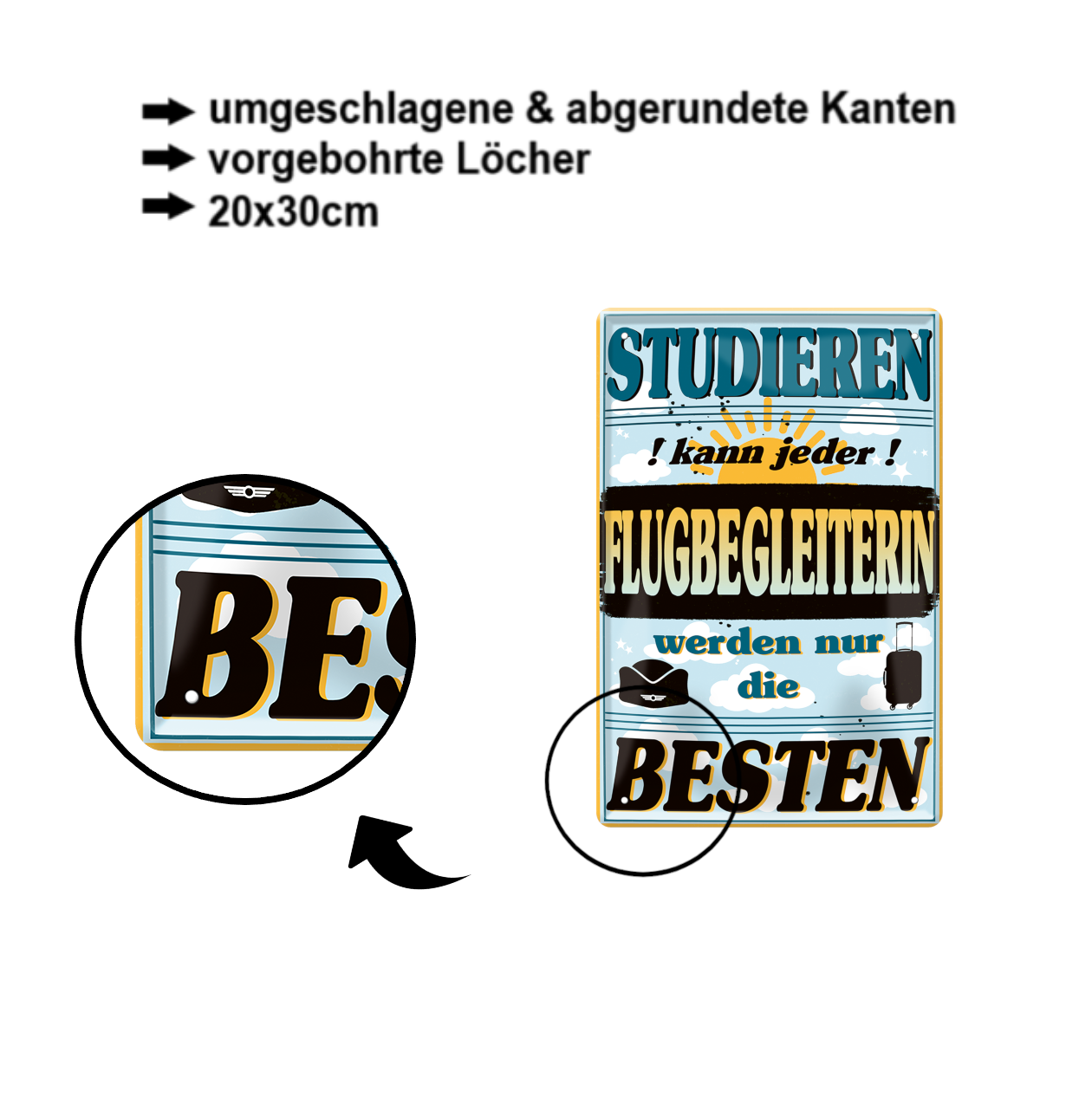 Blechschild ''Studieren kann jeder Flugbegleiterin'' 20x30cm