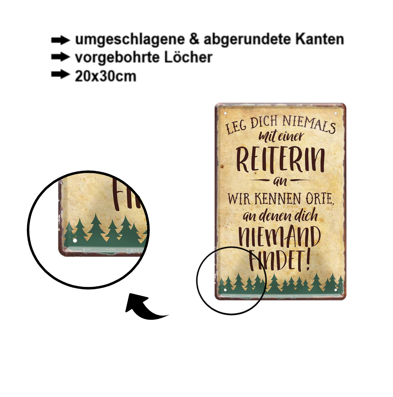 Blechschild ''Leg dich niemals mit einer Reiterin an'' 20x30cm