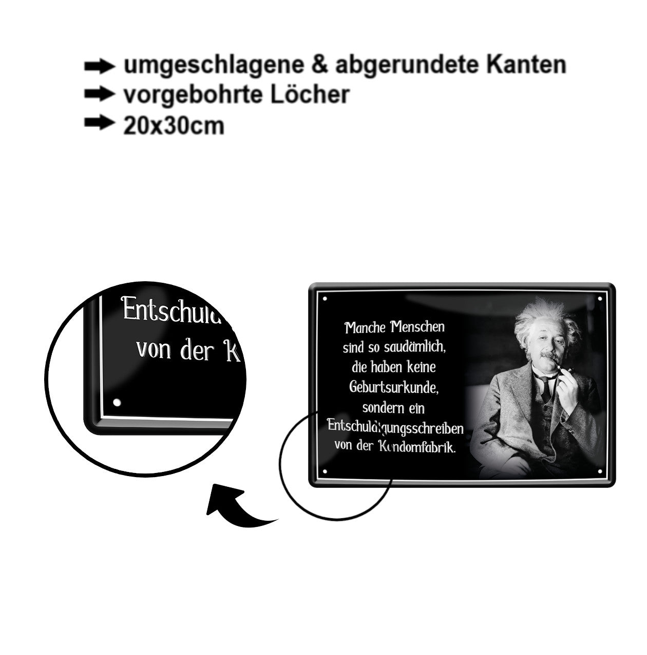 Blechschild ''Manche Menschen sind so saudämlich (Einstein)'' 20x30cm