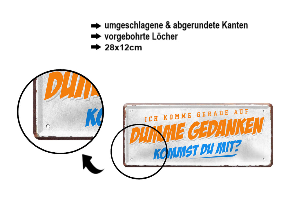 Blechschild ''Ich komme gerade auf dumme Gedanken'' 28x12cm