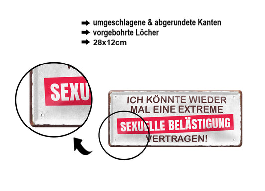 Blechschild ''Ich könnte sexuelle Belästigung vertragen'' 28x12cm