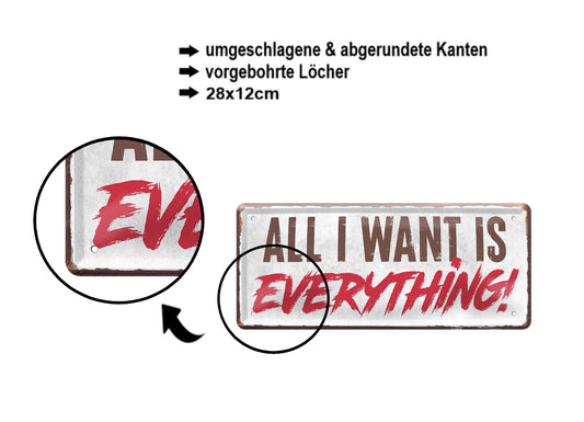 Blechschild ''All i want is Everything'' 28x12cm