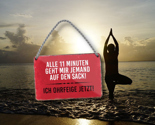 Blechschild ''Alle 11 Minuten geht mir jemand auf den Sack. Ohrfeige'' 18x12cm