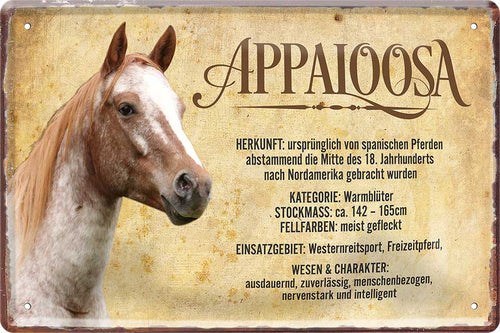 4252024218671 Schilderstore24 Schilderstore24 Blechschilder sind perfekt als Geschenk zu Weihnachten, Geburtstage, Feiern, Partys, Grillabende, Namenstag, Feiertag, Mädelsabend, Hochzeit. Jederzeit stilvoll im Wohnzimmer, Partykeller, Garage, Praxis, Büro, Café, Hauseingang Nutztier Pferd Reiten Pony Stall sattel ausreiten pferd tier landwirtschaft	 ''Appaloosa''		20x30cm
