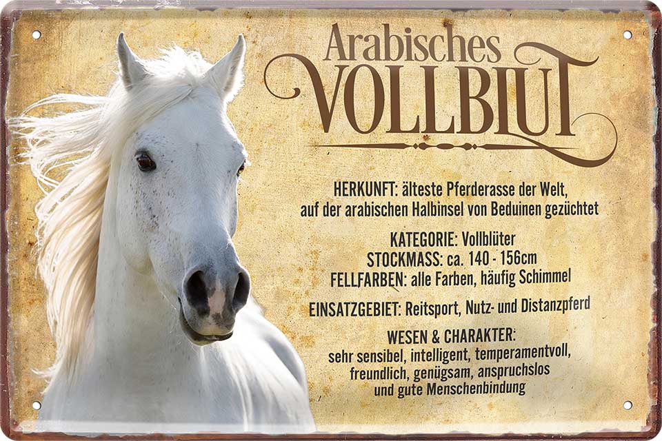 4252024218688 Schilderstore24 	Schilderstore24 Blechschilder sind perfekt als Geschenk zu Weihnachten, Geburtstage, Feiern, Partys, Grillabende, Namenstag, Feiertag, Mädelsabend, Hochzeit. Jederzeit stilvoll im Wohnzimmer, Partykeller, Garage, Praxis, Büro, Café, Hauseingang Nutztier Pferd Reiten Pony Stall sattel ausreiten pferd tier landwirtschaft ''Arab Vollblut''		20x30cm