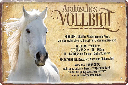 4252024218688 Schilderstore24 	Schilderstore24 Blechschilder sind perfekt als Geschenk zu Weihnachten, Geburtstage, Feiern, Partys, Grillabende, Namenstag, Feiertag, Mädelsabend, Hochzeit. Jederzeit stilvoll im Wohnzimmer, Partykeller, Garage, Praxis, Büro, Café, Hauseingang Nutztier Pferd Reiten Pony Stall sattel ausreiten pferd tier landwirtschaft ''Arab Vollblut''		20x30cm