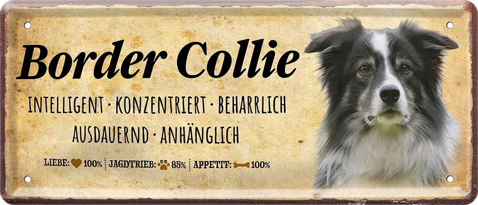 4252024224122 Schilderstore24 	Schilderstore24 Blechschilder sind perfekt als Geschenk zu Weihnachten, Geburtstage, Feiern, Partys, Grillabende, Namenstag, Feiertag, Mädelsabend, Hochzeit. Jederzeit stilvoll im Wohnzimmer, Partykeller, Garage, Praxis, Büro, Café, Hauseingang Haustier Tier Freund knuddelig Zuhause Katze Hund Hamster Meerschwein haustier ''Border Collie''		28x12cm