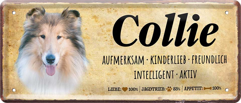 4252024224184 Schilderstore24 Schilderstore24 Blechschilder sind perfekt als Geschenk zu Weihnachten, Geburtstage, Feiern, Partys, Grillabende, Namenstag, Feiertag, Mädelsabend, Hochzeit. Jederzeit stilvoll im Wohnzimmer, Partykeller, Garage, Praxis, Büro, Café, Hauseingang Haustier Tier Freund knuddelig Zuhause Katze Hund Hamster Meerschwein haustier	 ''Collie''		28x12cm