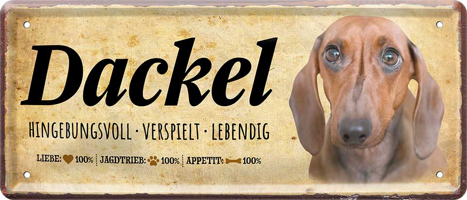 4252024224191 Schilderstore24 Schilderstore24 Blechschilder sind perfekt als Geschenk zu Weihnachten, Geburtstage, Feiern, Partys, Grillabende, Namenstag, Feiertag, Mädelsabend, Hochzeit. Jederzeit stilvoll im Wohnzimmer, Partykeller, Garage, Praxis, Büro, Café, Hauseingang Haustier Tier Freund knuddelig Zuhause Katze Hund Hamster Meerschwein haustier	 ''Dackel''		28x12cm