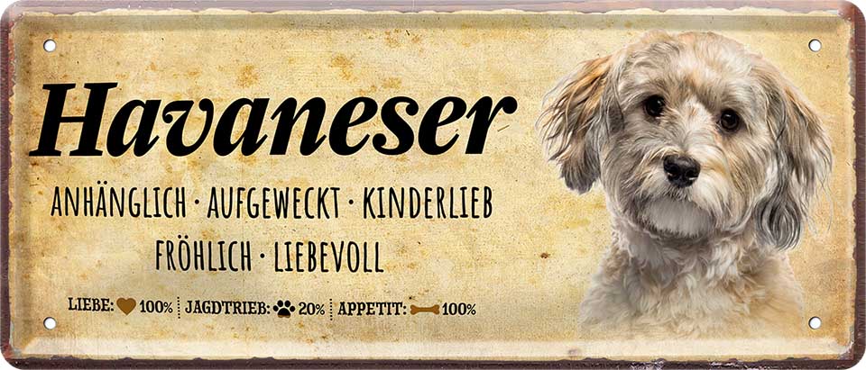 4252024224290 Schilderstore24 Schilderstore24 Blechschilder sind perfekt als Geschenk zu Weihnachten, Geburtstage, Feiern, Partys, Grillabende, Namenstag, Feiertag, Mädelsabend, Hochzeit. Jederzeit stilvoll im Wohnzimmer, Partykeller, Garage, Praxis, Büro, Café, Hauseingang Haustier Tier Freund knuddelig Zuhause Katze Hund Hamster Meerschwein haustier	 ''Havaneser''		28x12cm