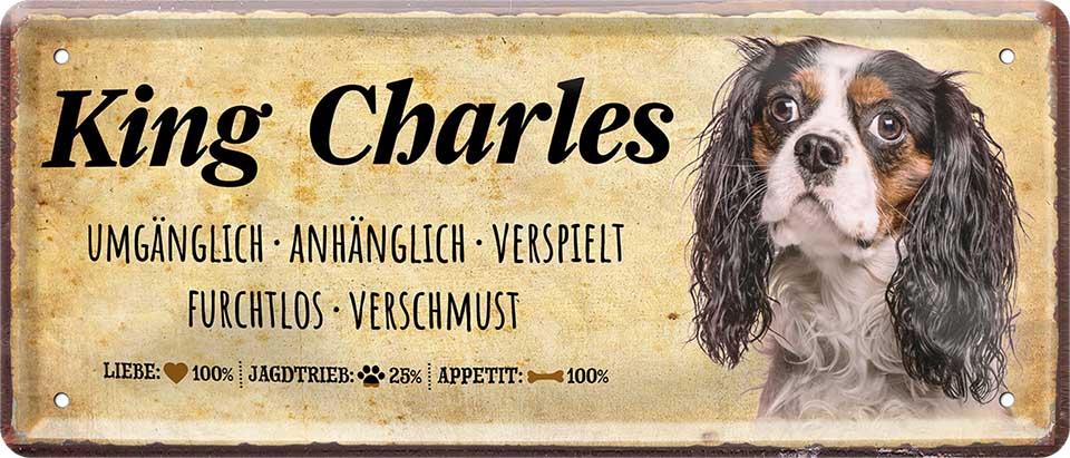 4252024224368 Schilderstore24 	Schilderstore24 Blechschilder sind perfekt als Geschenk zu Weihnachten, Geburtstage, Feiern, Partys, Grillabende, Namenstag, Feiertag, Mädelsabend, Hochzeit. Jederzeit stilvoll im Wohnzimmer, Partykeller, Garage, Praxis, Büro, Café, Hauseingang Haustier Tier Freund knuddelig Zuhause Katze Hund Hamster Meerschwein haustier ''King Charles''		28x12cm