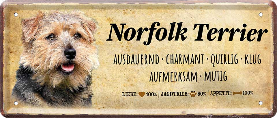 4252024224436 Schilderstore24 Schilderstore24 Blechschilder sind perfekt als Geschenk zu Weihnachten, Geburtstage, Feiern, Partys, Grillabende, Namenstag, Feiertag, Mädelsabend, Hochzeit. Jederzeit stilvoll im Wohnzimmer, Partykeller, Garage, Praxis, Büro, Café, Hauseingang Haustier Tier Freund knuddelig Zuhause Katze Hund Hamster Meerschwein haustier	 ''Norfolk Terrier''		28x12cm