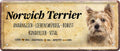 4252024224443 Schilderstore24 Schilderstore24 Blechschilder sind perfekt als Geschenk zu Weihnachten, Geburtstage, Feiern, Partys, Grillabende, Namenstag, Feiertag, Mädelsabend, Hochzeit. Jederzeit stilvoll im Wohnzimmer, Partykeller, Garage, Praxis, Büro, Café, Hauseingang Haustier Tier Freund knuddelig Zuhause Katze Hund Hamster Meerschwein haustier	 ''Norwich Terrier''		28x12cm