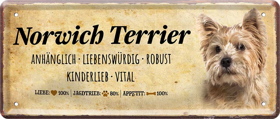 4252024224443 Schilderstore24 Schilderstore24 Blechschilder sind perfekt als Geschenk zu Weihnachten, Geburtstage, Feiern, Partys, Grillabende, Namenstag, Feiertag, Mädelsabend, Hochzeit. Jederzeit stilvoll im Wohnzimmer, Partykeller, Garage, Praxis, Büro, Café, Hauseingang Haustier Tier Freund knuddelig Zuhause Katze Hund Hamster Meerschwein haustier	 ''Norwich Terrier''		28x12cm