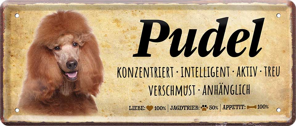 4252024224481 Schilderstore24 	Schilderstore24 Blechschilder sind perfekt als Geschenk zu Weihnachten, Geburtstage, Feiern, Partys, Grillabende, Namenstag, Feiertag, Mädelsabend, Hochzeit. Jederzeit stilvoll im Wohnzimmer, Partykeller, Garage, Praxis, Büro, Café, Hauseingang Haustier Tier Freund knuddelig Zuhause Katze Hund Hamster Meerschwein haustier ''Pudel''		28x12cm