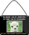 4252024210736 Schilderstore24 	Schilderstore24 Blechschilder sind perfekt als Geschenk zu Weihnachten, Geburtstage, Feiern, Partys, Grillabende, Namenstag, Feiertag, Mädelsabend, Hochzeit. Jederzeit stilvoll im Wohnzimmer, Partykeller, Garage, Praxis, Büro, Café, Hauseingang Sarkasmus Ironie Funny Schwarzer Humor faul dumm fun rente lästern teufel ''Zu müde, um zu arbeiten.. zu alt für Sugar Daddy (Alpacka)''		18x12cm