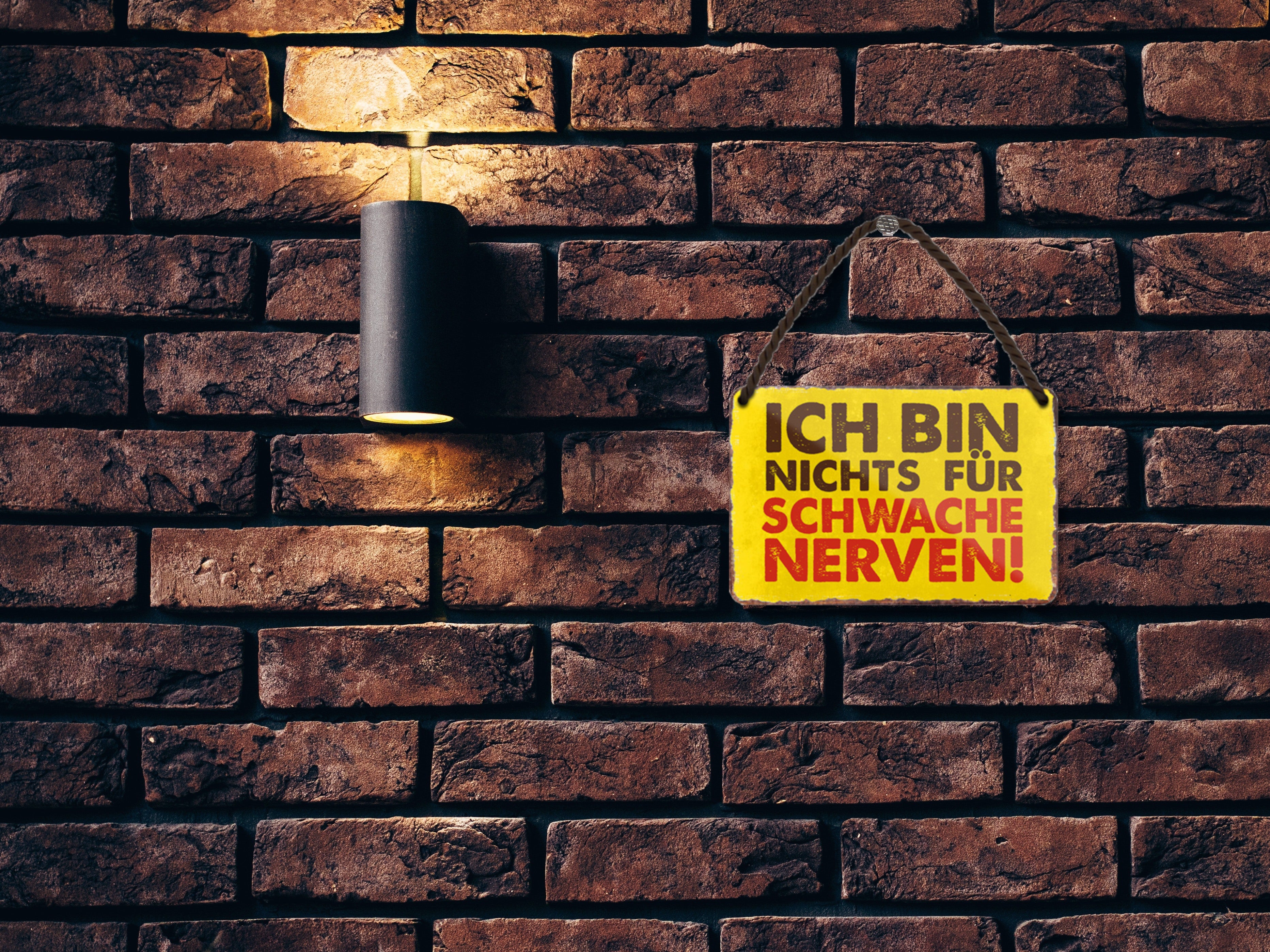 Blechschild ''Ich bin nichts für schwache Nerven'' 18x12cm