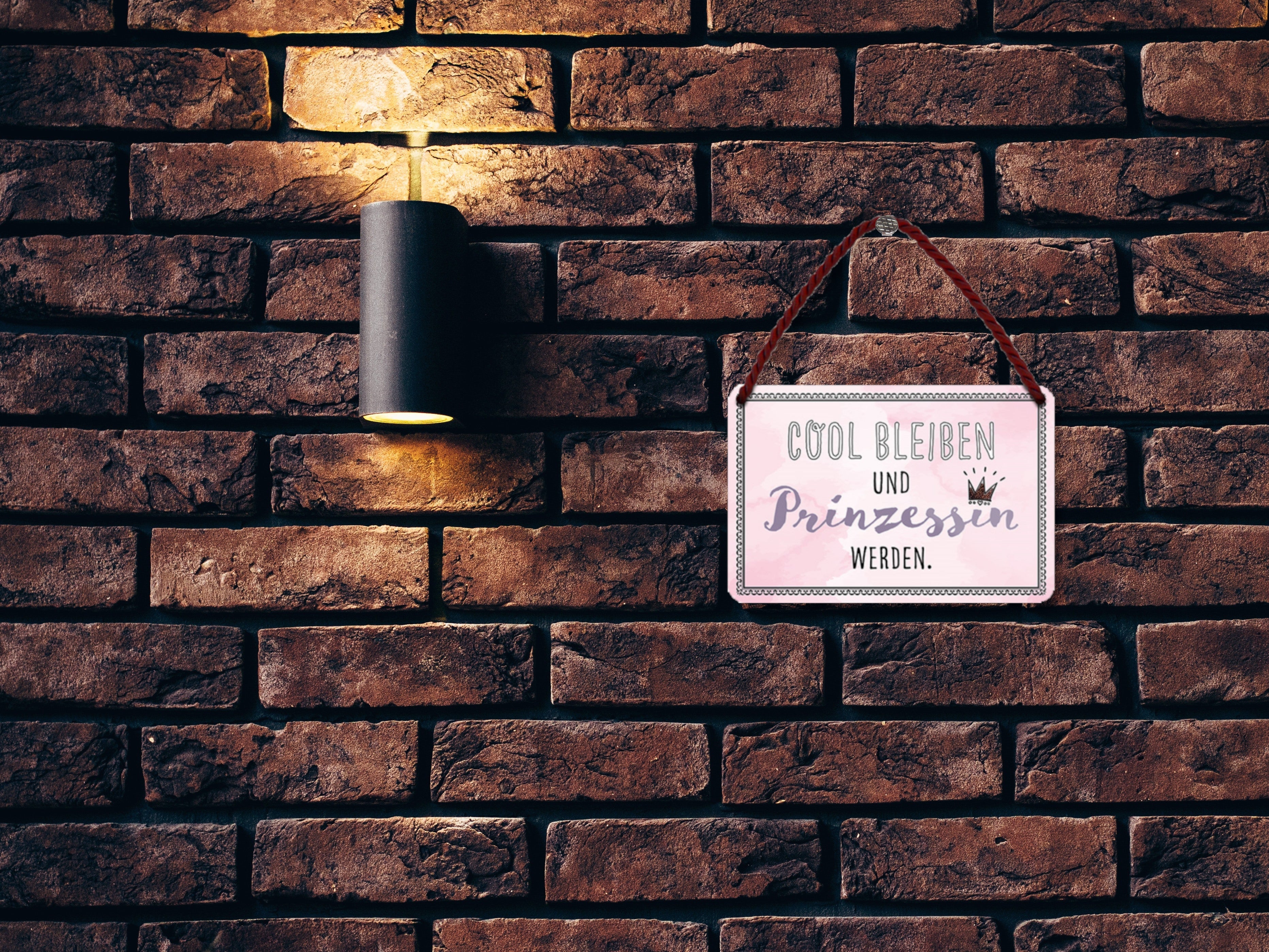 Blechschild ''Cool bleiben und Prinzessin werden'' 18x12cm