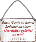 4252024208191 Schilderstore24 	Schilderstore24 Blechschilder sind perfekt als Geschenk zu Weihnachten, Geburtstage, Feiern, Partys, Grillabende, Namenstag, Feiertag, Mädelsabend, Hochzeit. Jederzeit stilvoll im Wohnzimmer, Partykeller, Garage, Praxis, Büro, Café, Hauseingang Sex Anzüglich Zweideutig Romantik Brüste sinnlich schnulzig romantisch versaut pinup ''Einen Penis zu haben bedeutet an einen Verrückten''		18x12cm