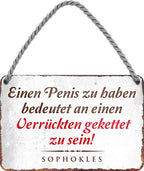 4252024208191 Schilderstore24 	Schilderstore24 Blechschilder sind perfekt als Geschenk zu Weihnachten, Geburtstage, Feiern, Partys, Grillabende, Namenstag, Feiertag, Mädelsabend, Hochzeit. Jederzeit stilvoll im Wohnzimmer, Partykeller, Garage, Praxis, Büro, Café, Hauseingang Sex Anzüglich Zweideutig Romantik Brüste sinnlich schnulzig romantisch versaut pinup ''Einen Penis zu haben bedeutet an einen Verrückten''		18x12cm