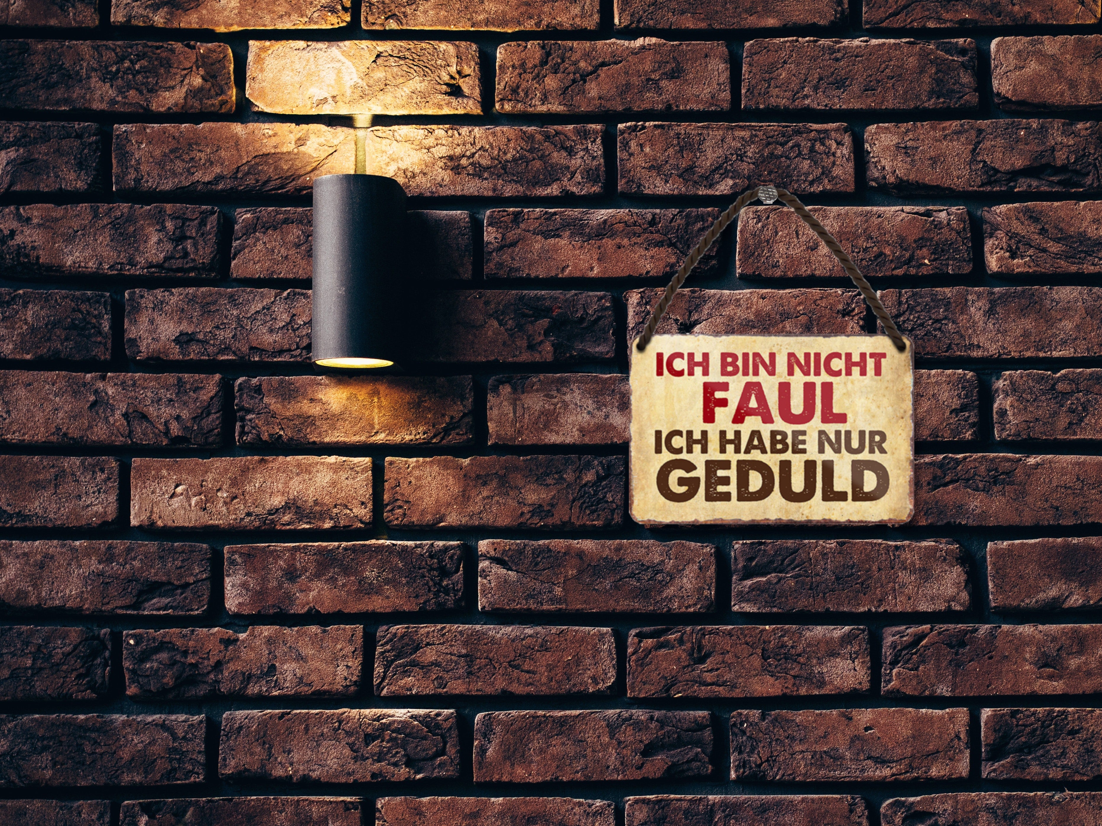 Blechschild ''Ich bin nicht faul, ich habe nur Geduld'' 18x12cm