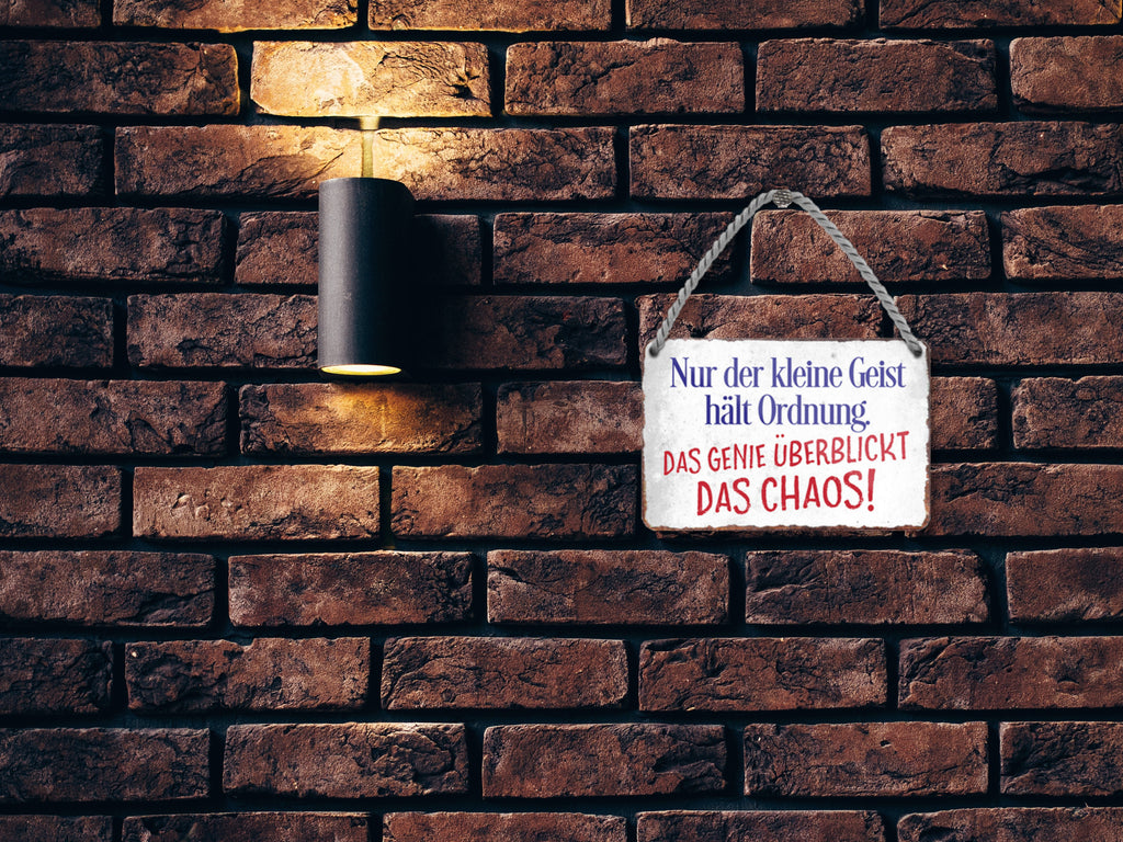 Metal sign ''Only the small spirit keeps order. The genius surveys the chaos'' 18x12cm