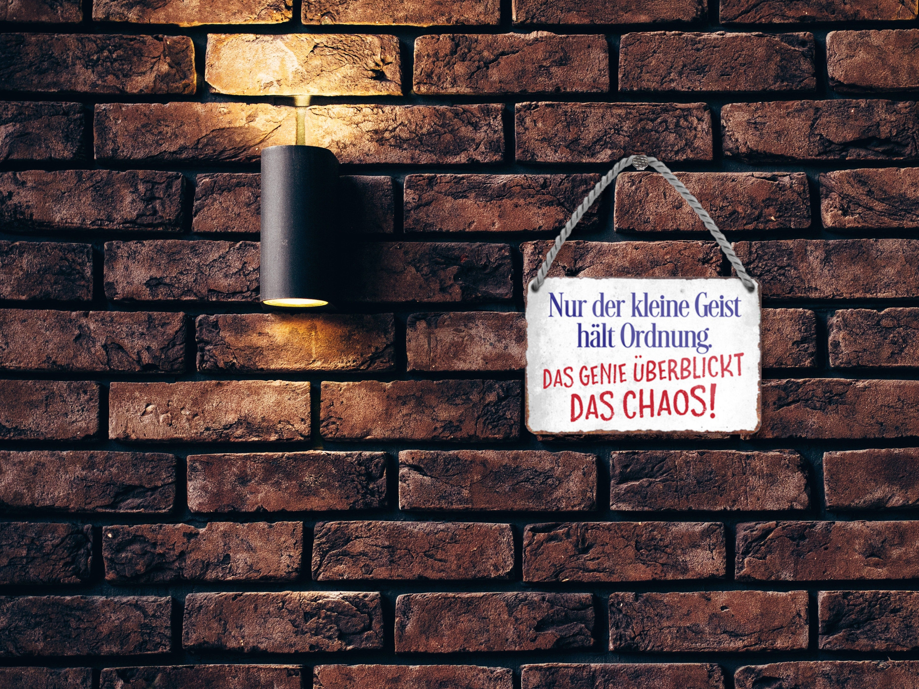 Metal sign ''Only the small spirit keeps order. The genius surveys the chaos'' 18x12cm