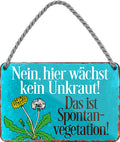 4252024205893 Schilderstore24 	Schilderstore24 Blechschilder sind perfekt als Geschenk zu Weihnachten, Geburtstage, Feiern, Partys, Grillabende, Namenstag, Feiertag, Mädelsabend, Hochzeit. Jederzeit stilvoll im Wohnzimmer, Partykeller, Garage, Praxis, Büro, Café, Hauseingang Garten Haushalt Heim Zuhause Gartenarbeit Hausarbeit Zuhause Blumen ''Nein, hier wächst kein Unkraut. Das ist Spontanvegetation''		18x12cm