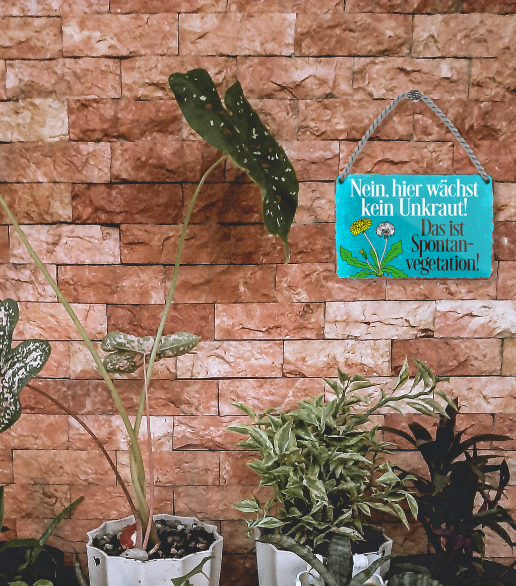 Metal sign ''No, weeds don't grow here. This is spontaneous vegetation'' 18x12cm